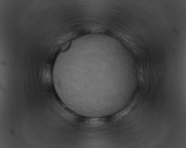 X0000090490622200708031148