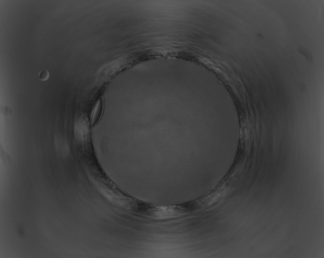 X0000090490623200708031148