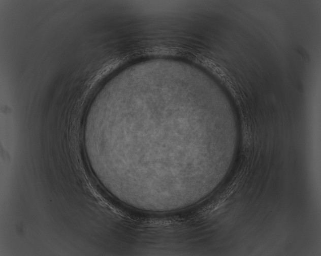 X0000090490625200708031147