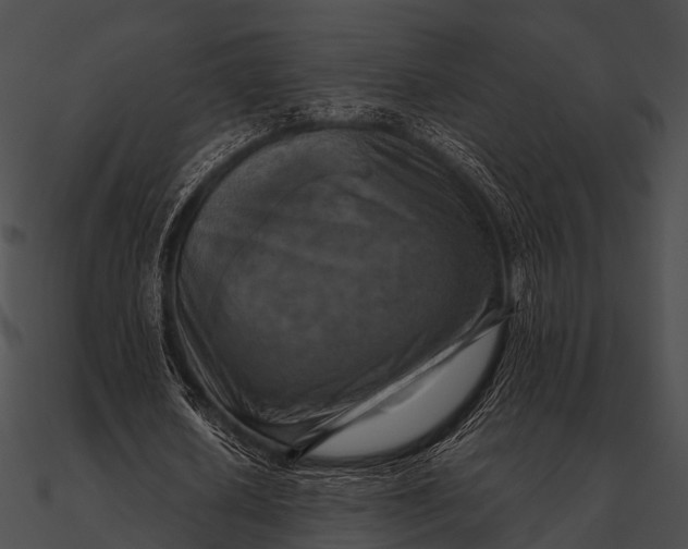 X0000090490626200708031147