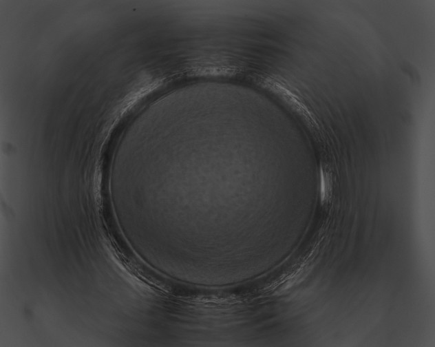 X0000090490627200708031147