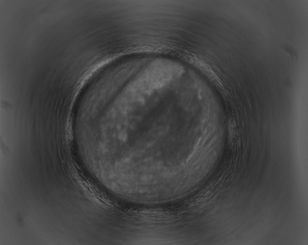 X0000090490628200708031147