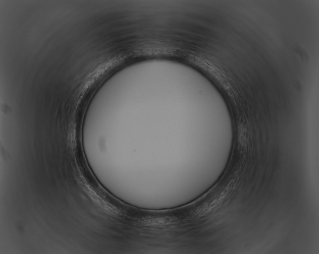 X0000090490629200708031147