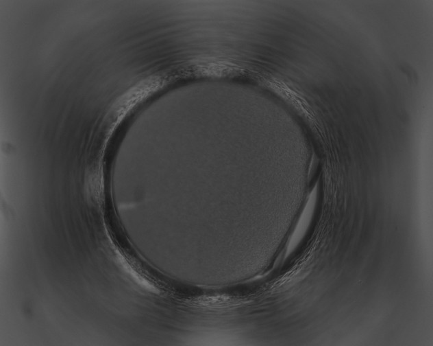 X0000090490630200708031147