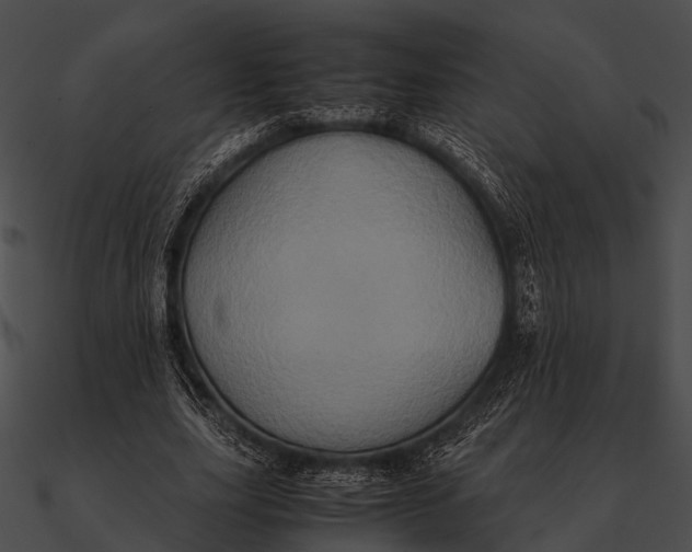 X0000090490631200708031147