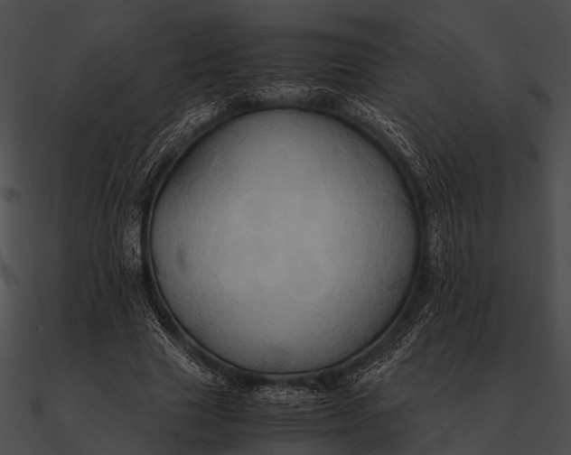 X0000090490633200708031147