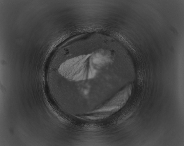 X0000090490634200708031147