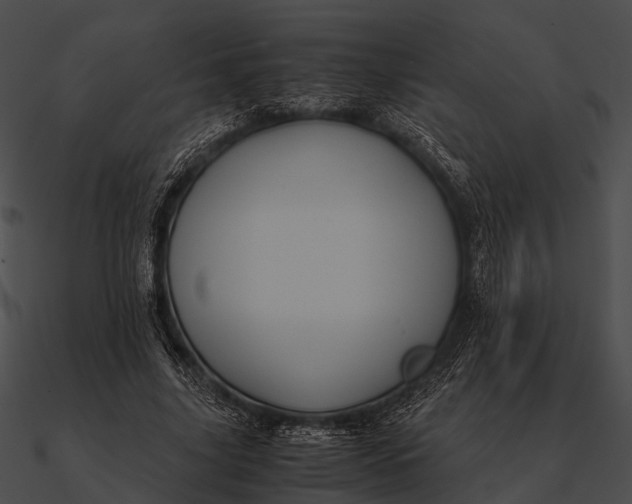 X0000090490635200708031147