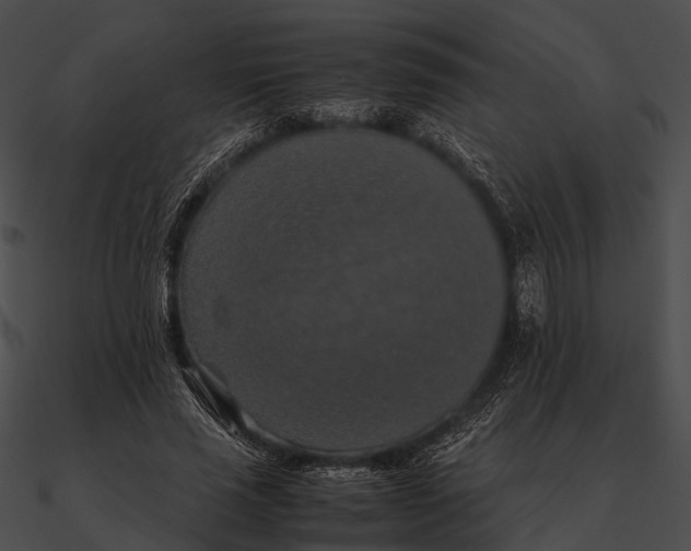 X0000090490637200708031147