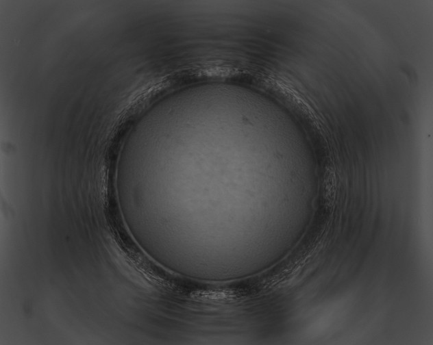 X0000090490639200708031147