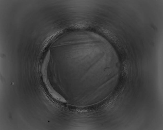 X0000090490640200708031147