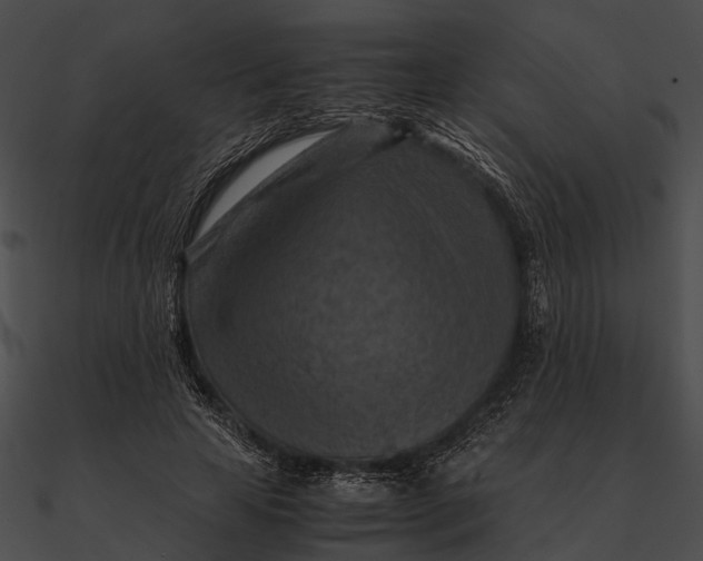 X0000090490641200708031147