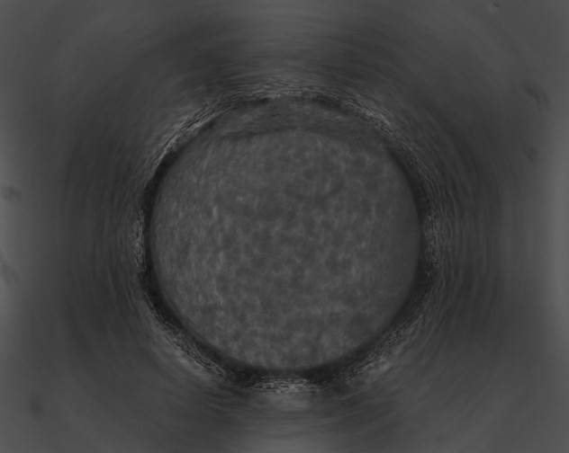 X0000090490642200708031147