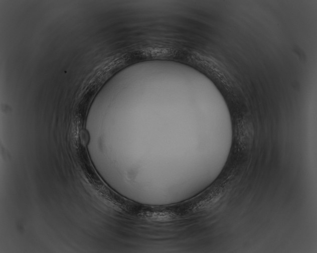 X0000090490645200708031147