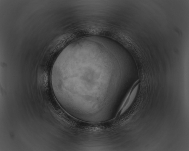 X0000090490646200708031147