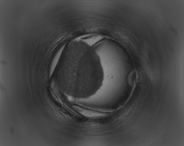 X0000090490648200708031148