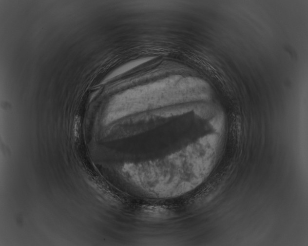 X0000090490649200708031148