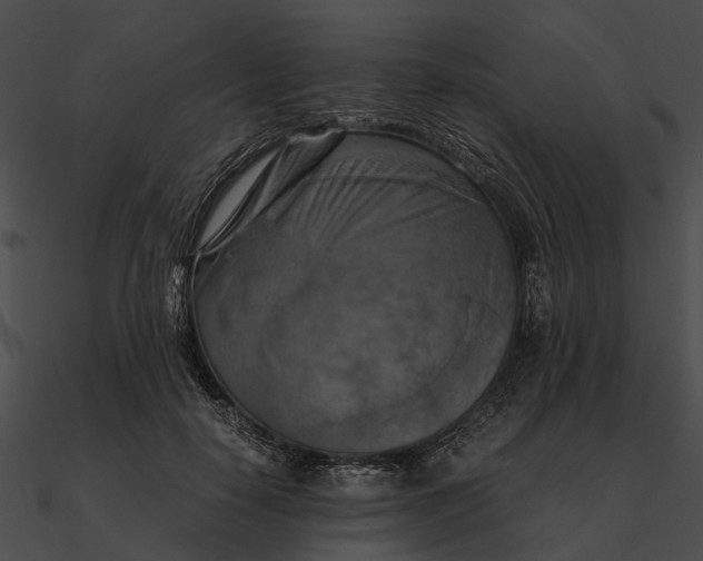 X0000090490650200708031148