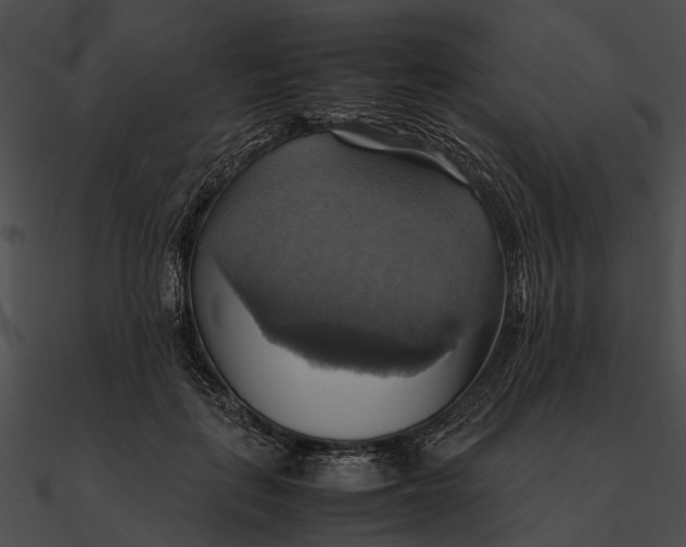 X0000090490651200708031148