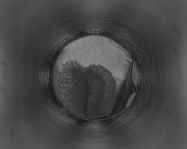 X0000090490652200708031148