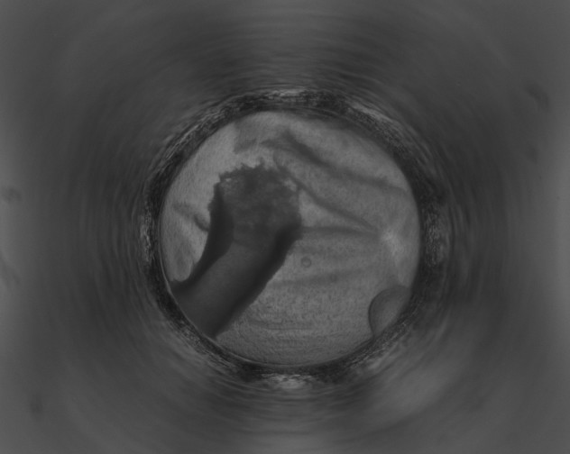 X0000090490654200708031148