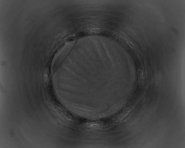 X0000090490655200708031148