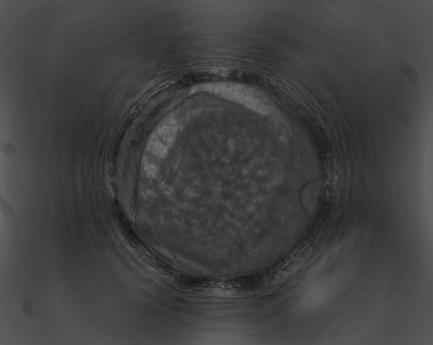 X0000090490656200708031148