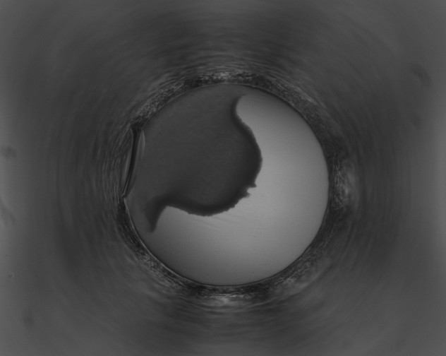 X0000090490657200708031148