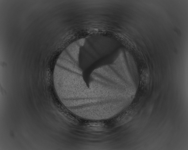 X0000090490659200708031148