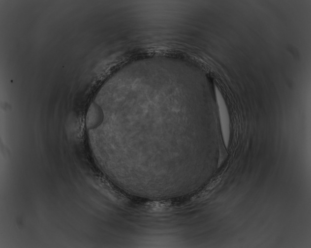 X0000090490660200708031148