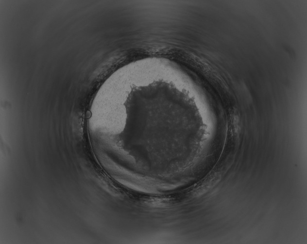 X0000090490664200708031148