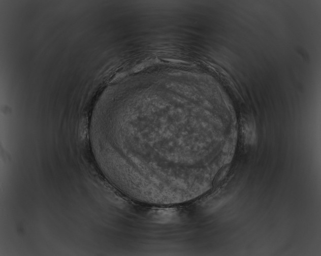 X0000090490665200708031148