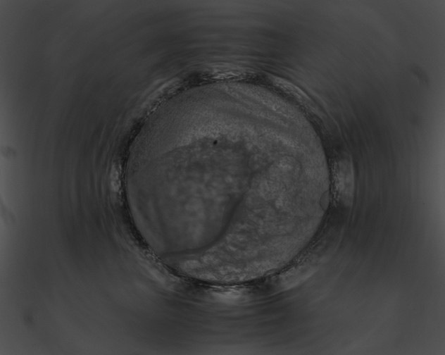 X0000090490667200708031148