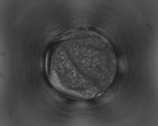 X0000090490668200708031148