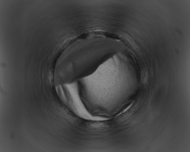 X0000090490669200708031148