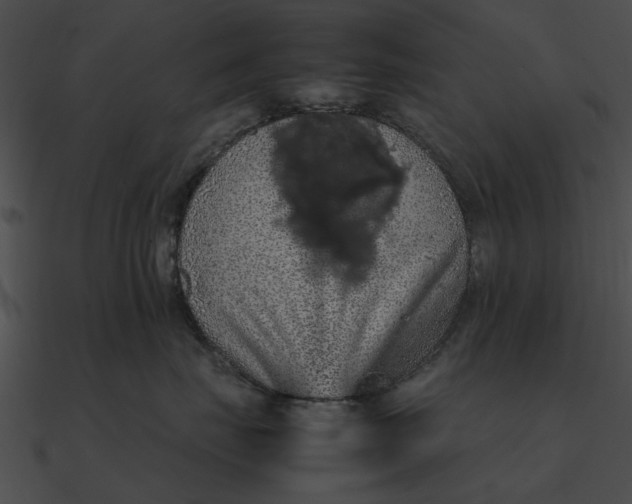 X0000090490671200708031148