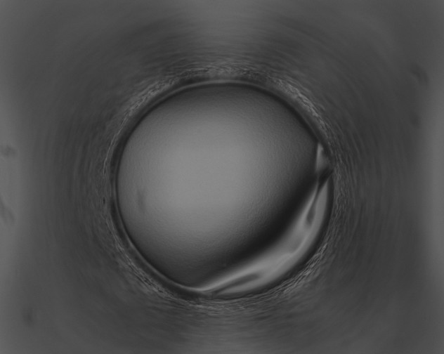 X0000090490673200708031147