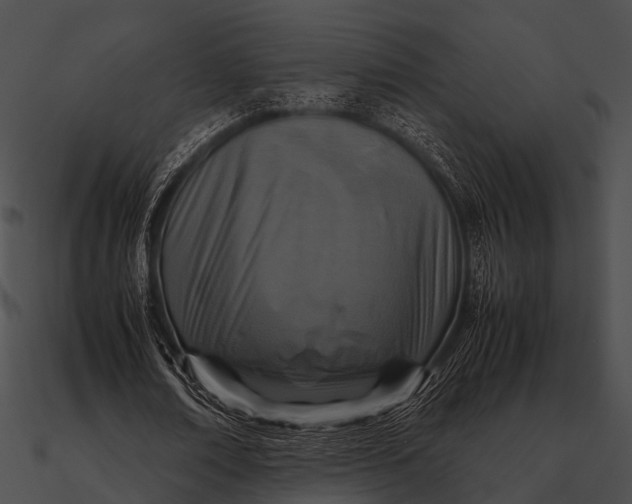 X0000090490674200708031147