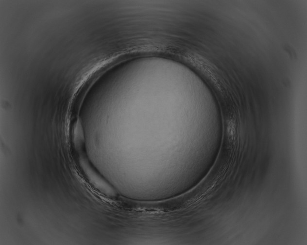 X0000090490676200708031147