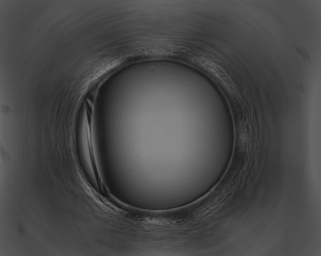 X0000090490677200708031147