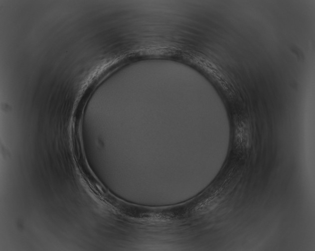 X0000090490678200708031147