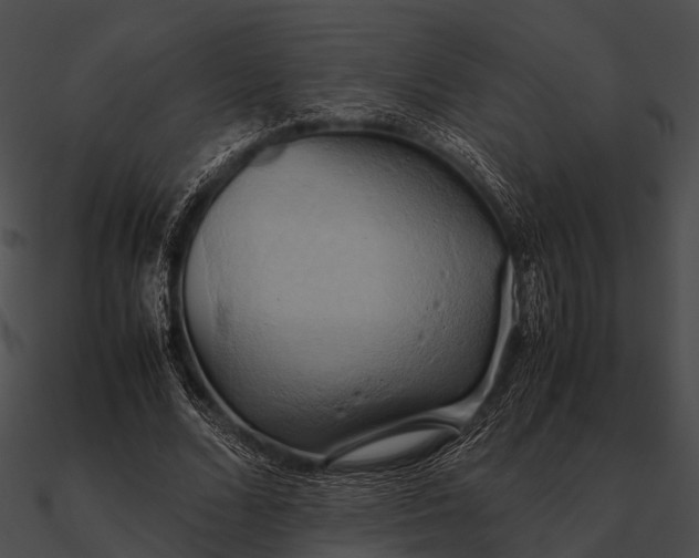 X0000090490680200708031147