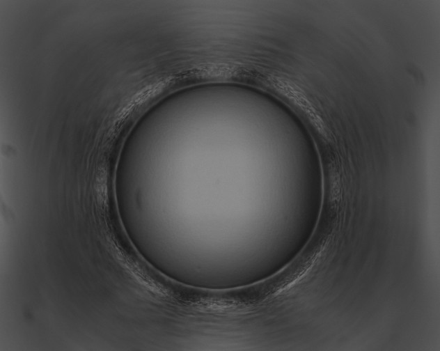 X0000090490681200708031147