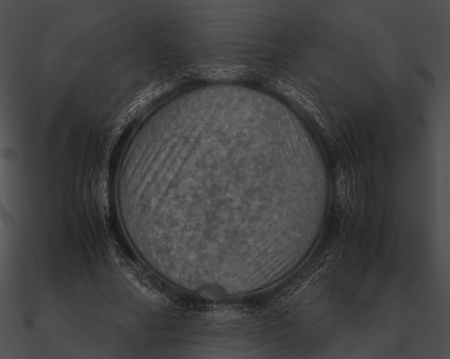 X0000090490682200708031147