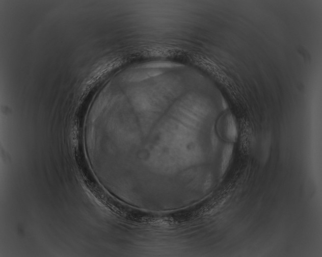 X0000090490683200708031147