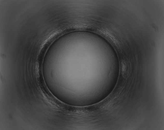 X0000090490684200708031147