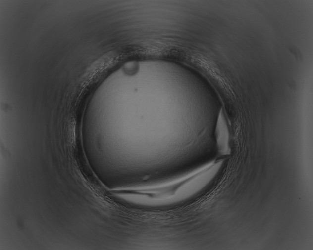 X0000090490685200708031147