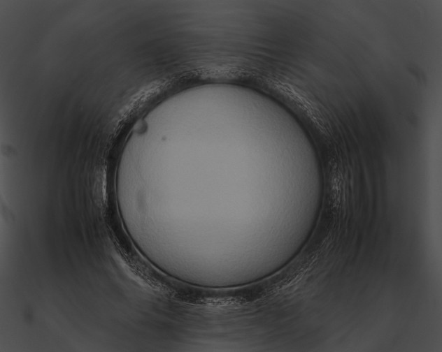 X0000090490686200708031147