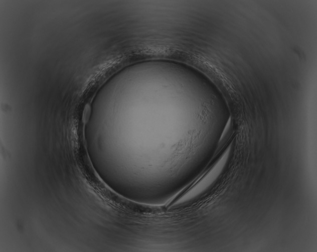 X0000090490688200708031147