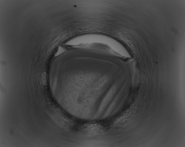 X0000090490689200708031147